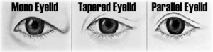https://kaykayyay.files.wordpress.com/2012/08/types-of-eyelids.jpg?w=300